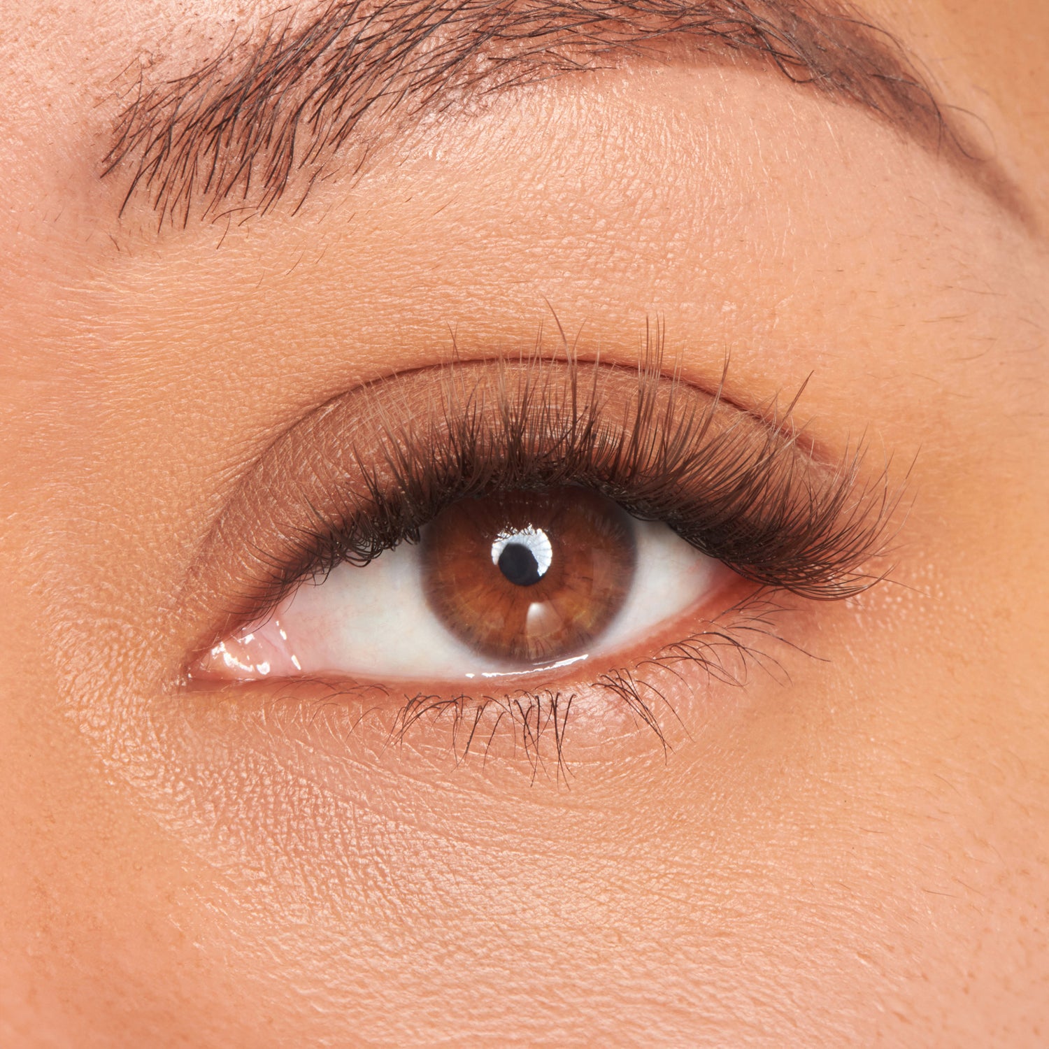 FALSCARA STUDIO Lash Palette - Dark Chocolate Fluffy