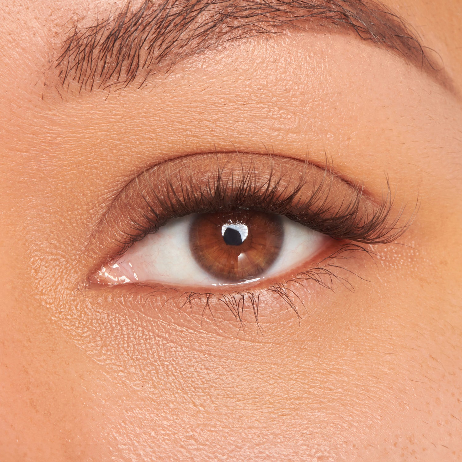 FALSCARA STUDIO Lash Palette - Dark Chocolate Light