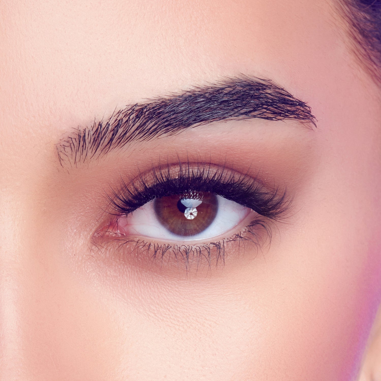 FALSCARA STUDIO Lash Palette - Xtra Light