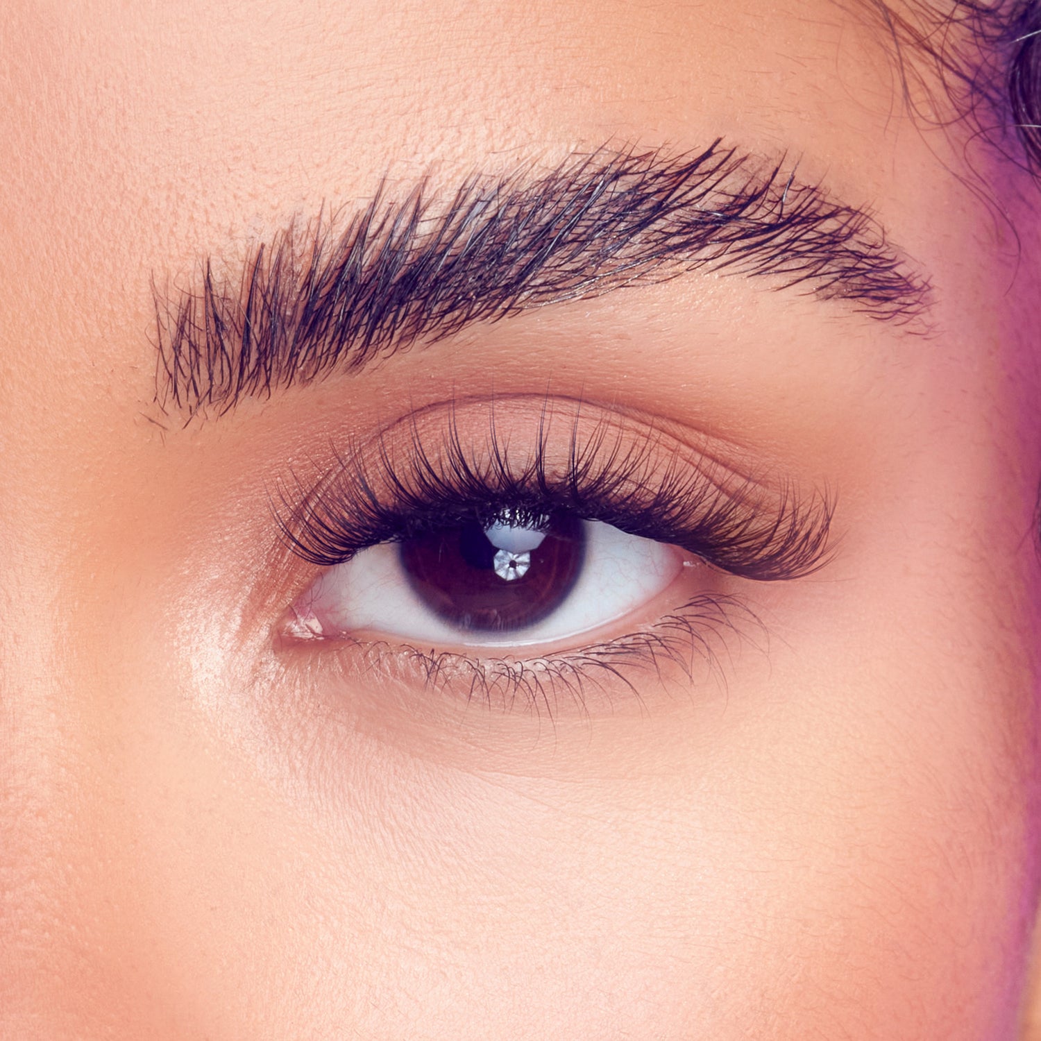 FALSCARA STUDIO Lash Palette - Xtra Fluffy